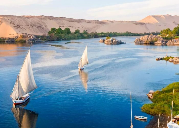 a-surprising-image-of-some-flocs-in-luxor