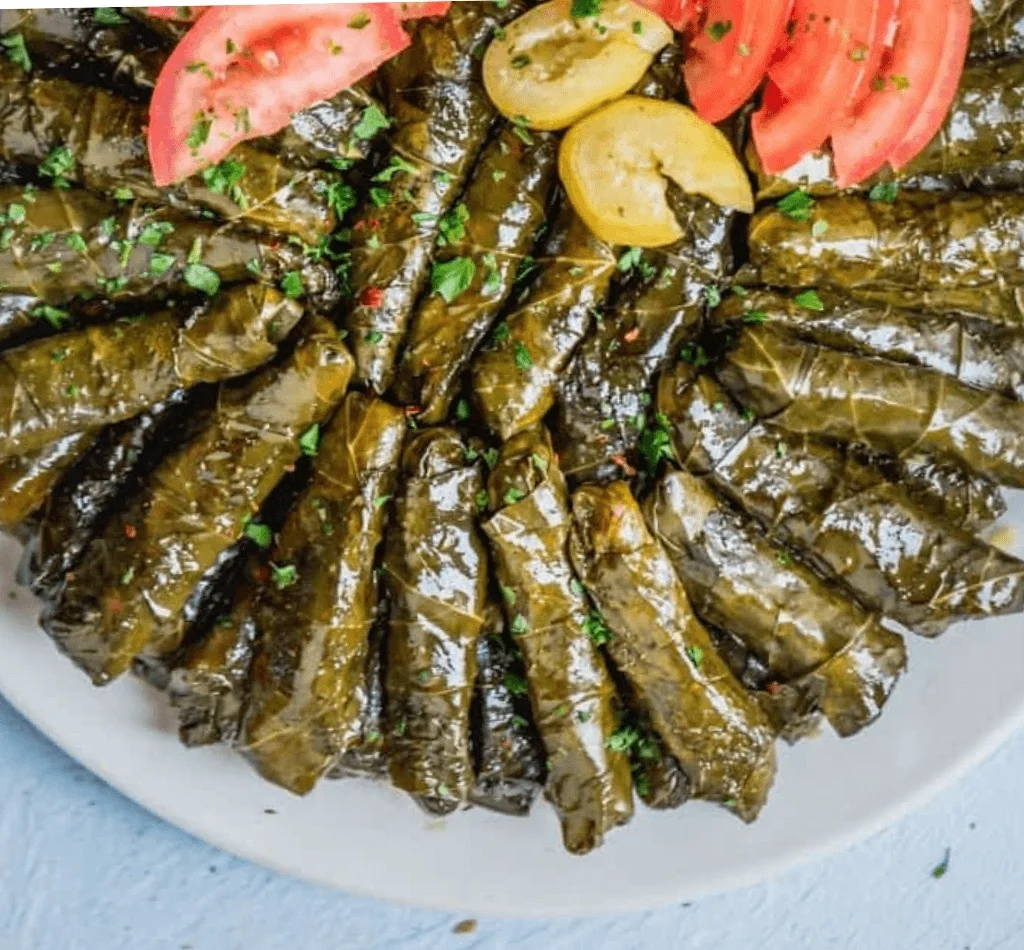 Traditional Egyptian food stuffed grape leaves (mahshi warak enab) with herbs, lemon, and tomatoes
